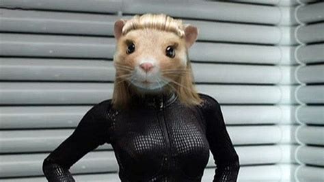 sexy hamster